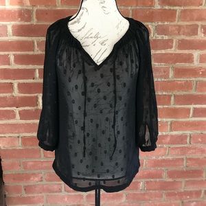 Anne Taylor Loft Sheer Polkadot Blouse
